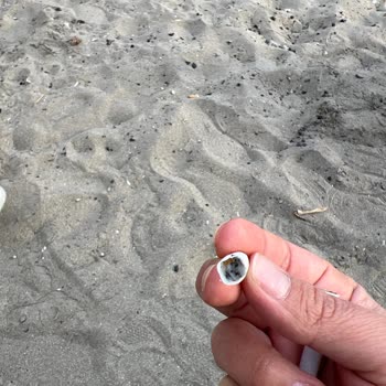 Marlboro Touch Blue'dan Ayrılmış Filtre Şoku