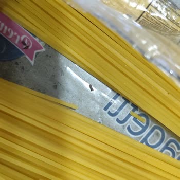 Güvenilir Markadan Böcekli Makarna Şoku