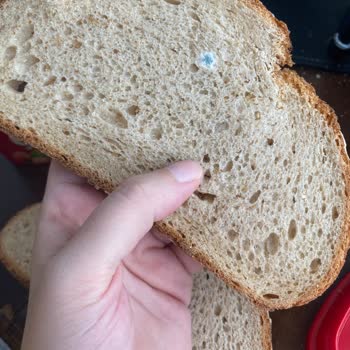 Getir Doygun Ekmekte Küf Sorunu