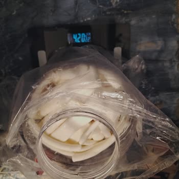 Aldatıcı Peynir Satışı Ve Müşteri Hizmetleri Sorunu