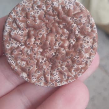 Bayram Çikolatası Skandalı: Bozuk Ürün Mahcubiyeti