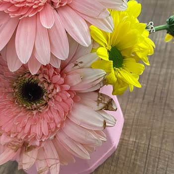 Taze Çiçek | Tazecicek.com Çürük Çiçeklerle Mahcubiyet Yaşatan Deneyim!