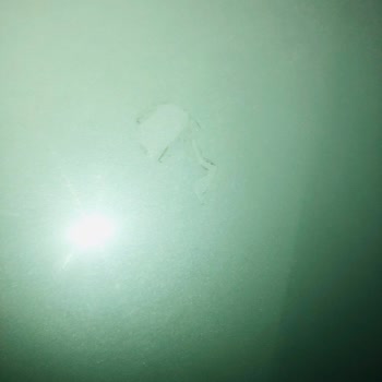 Bakırcılar Otomotiv (Antalya) Arabamın Ön Kaputuna Filim Yaptırdım Garantisi Dolmadan Yırtılmıştır