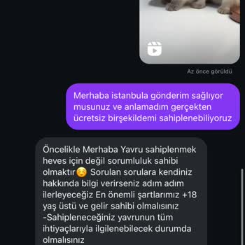 Şüpheli Instagram Satışı: Yanıltıcı İletişim Ve Engelleme