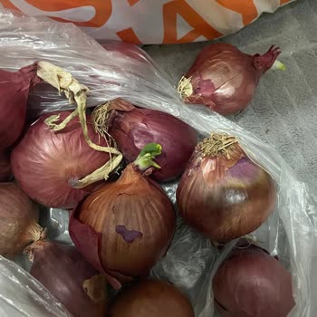 Migros Hemen'den Gelen Çürük Meyve Ve Yetersiz Destek