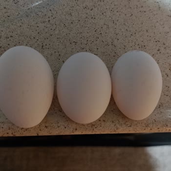 Yılpa Yumurtaları: Yanlış Boyut Ve Haksız Fiyatlandırma