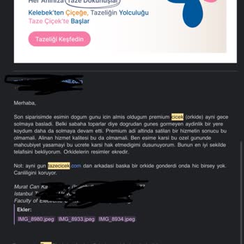 Premium Çiçek Solgunluğu: Beklenmedik Hayal Kırıklığı