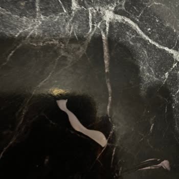 Tatbak Pastasında Cam Ve Plastik Şoku