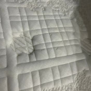 Bellona Yatakta Tüylü Ve Lekeli Sorunlar