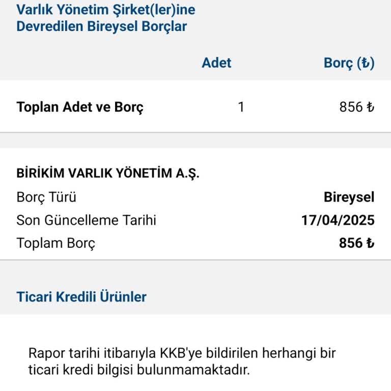 Birikim Varlık Şirketi İle Borç Sorunu