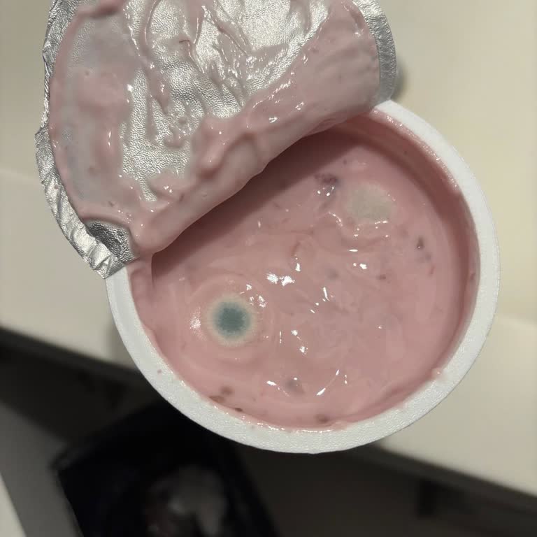 A101 Marketten Aldığımız Yoğurtta Küf Sorunu