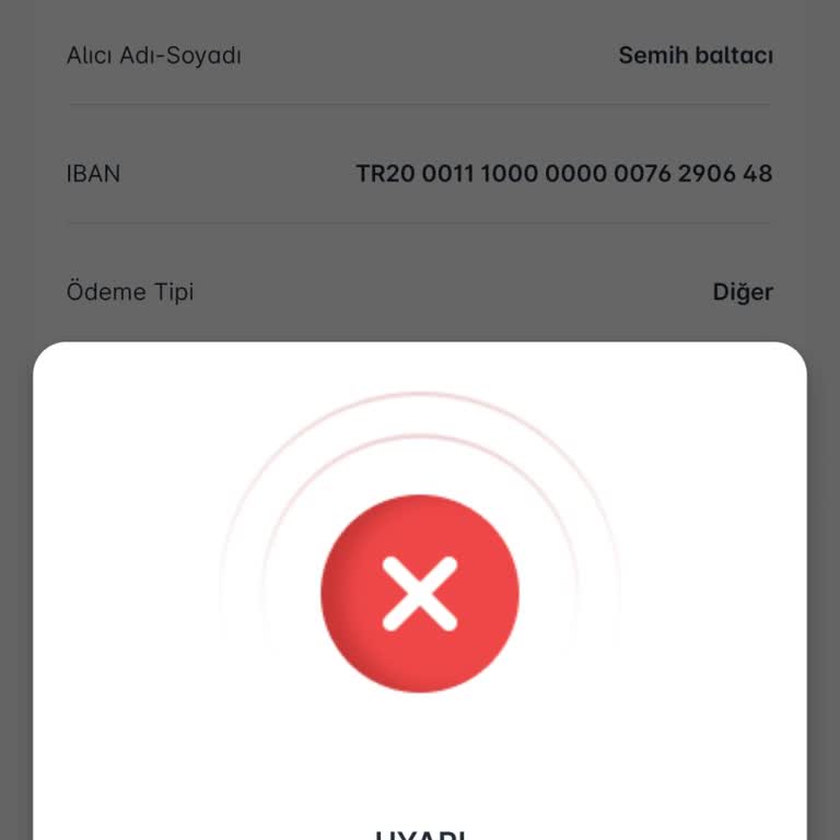 Güvenlik Kontrolleri Nedeniyle Para Transferi Mağduriyeti