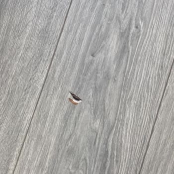 Özyapıcılar İnşaat Deprem Konutum Birkaç Farklı Odada Tavandan Su Damlatıyor