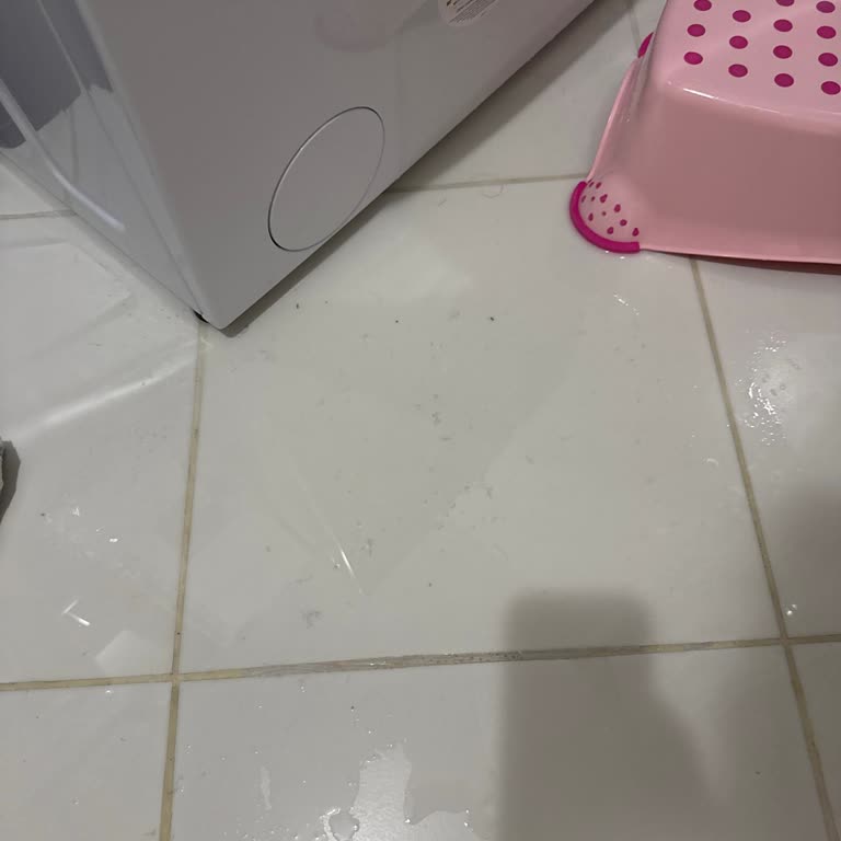 Hoover Çamaşır Makinesi: Hayal Kırıklığı Ve Mühendislik Hatası