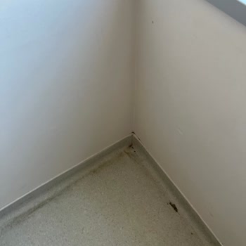 Bilkent Şehir Hastanesi'nde Hijyen Sorunları