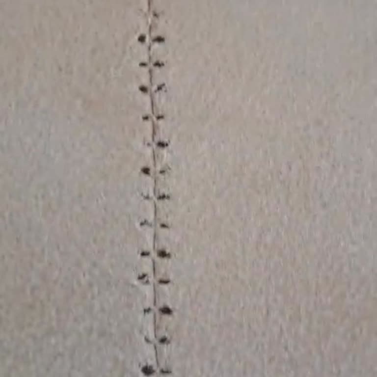 Satış Sonrası Hizmet Sıfır: Liva Concept Mağazası Deneyimi