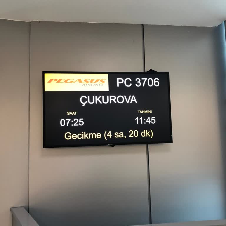 Pegasus'un Bitmeyen Rötarları: Çaresiz Bekleyiş