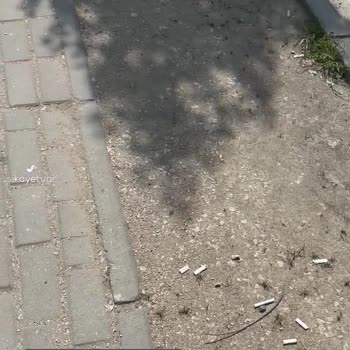 Bursa Nilüfer Belediyesi Temizlik İşleri Yetersiz!