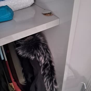 Modalife'tan Aldığımız Mobilya Takımı Hayal Kırıklığı Yarattı