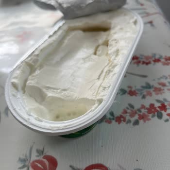 Taze Aldığım Labne Peynirde Küf Sorunu