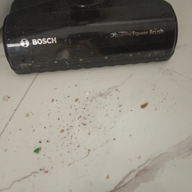 Bosch Süpürge Hayal Kırıklığı: Güç Ve Performans Sorunları