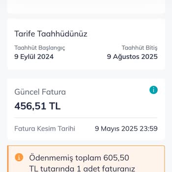 Çekmeyen Hat, Boşa Giden Para