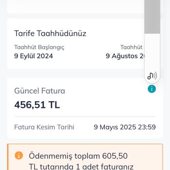 Çekmeyen Hat, Boşa Giden Para