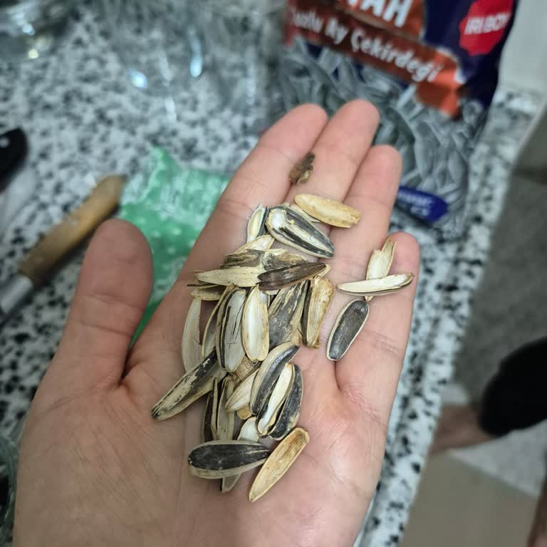 Amigo Çekirdek Paketinde Hayal Kırıklığı