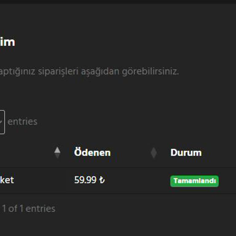 Çalışmayan Program Ve Yanıtsız Destek