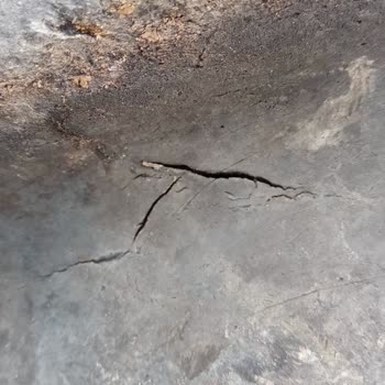 Petlas Lastiklerinin Erken Aşınması Ve Eksper Sorunu