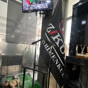 Özkul Yapı Gayrimenkul Asılsız Beyanlarda Bulunuyor!