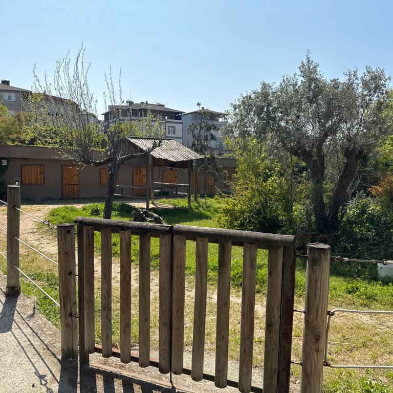 Faruk Yalçın Zoo Masraflardan Kaçınmayı Abartmışlar!