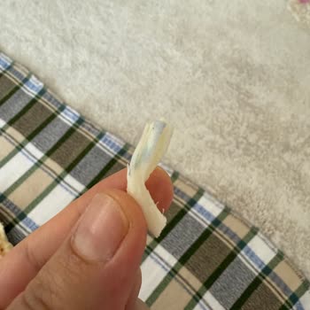 Taze Olmayan Peynirle Hayal Kırıklığı