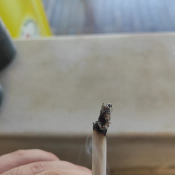 Parliament Midnight Blue: Kalite Sorunları Ve Tüketici Şikayetleri