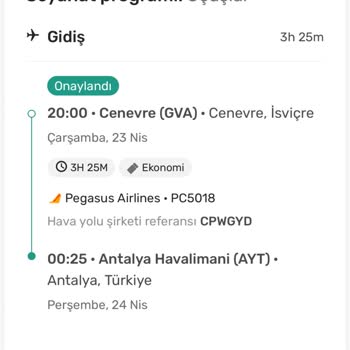 EDreams Üzerinden Alınan Pegasus Bileti Sorunu