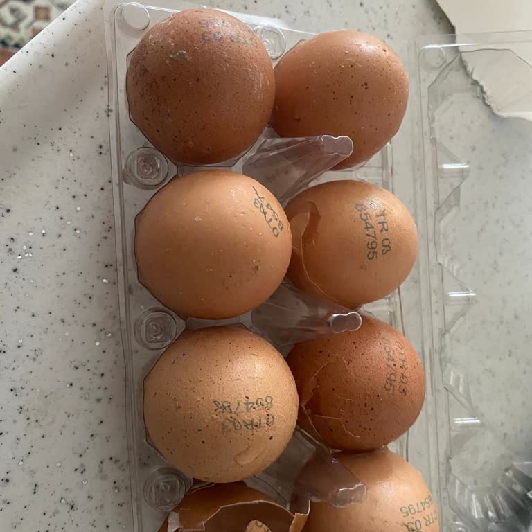Hasarlı Yumurtalarla Gelen Hayal Kırıklığı