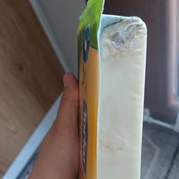 Küflü Peynir Şoku