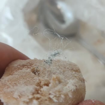 Tatsan Salih Usta Kavala Kurabiyesi İçinden Plastik Benzeri Yeşil İp Çıktı