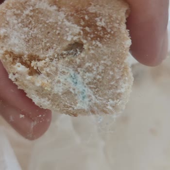 Tatsan Salih Usta Kavala Kurabiyesi İçinden Plastik Benzeri Yeşil İp Çıktı