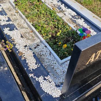 İstanbul Büyükşehir Belediyesi Zincirlikuyu Mezarlıklar Kötü Durumda