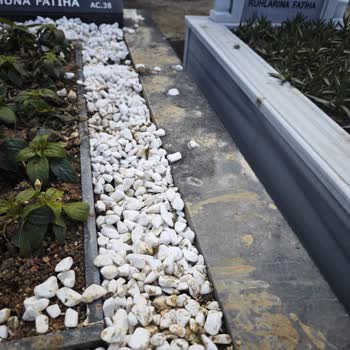 İstanbul Büyükşehir Belediyesi Zincirlikuyu Mezarlıklar Kötü Durumda