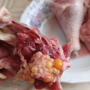 Cihan Doğal Köy Ürünleri İle Sorun Yaşama