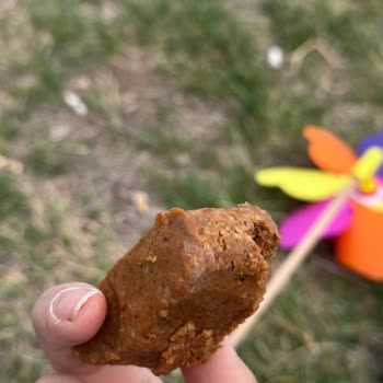 Tarihi Geçmiş Ürün Ve İlgisiz Çalışanlar