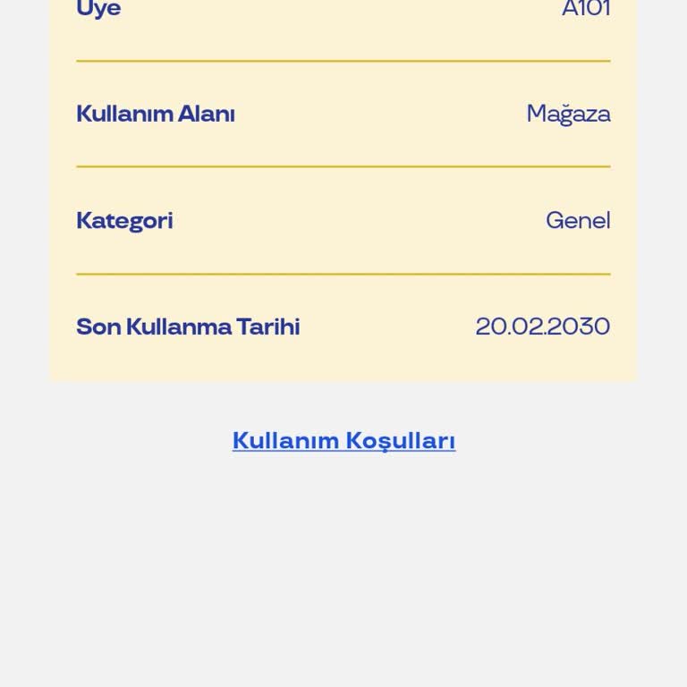 Pluxee Kullanırken A101'de Yaşanan Kasa Sorunu