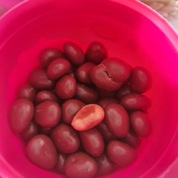 Güven Sarsan Çikolata Sürprizi