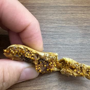 Çitlekçi Afyon Şubesinde Kurtlu İncir Sorunu