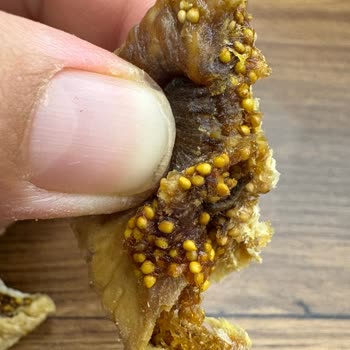 Çitlekçi Afyon Şubesinde Kurtlu İncir Sorunu