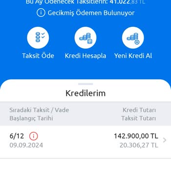 Kredi Yapılandırma Talebi Ve Gecikme Sorunu