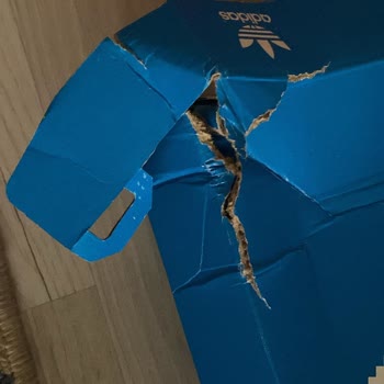 Kötü Paketleme Ve İletişim Sorunlarıyla Gelen Ayakkabı Hayal Kırıklığı