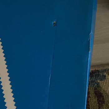 Kötü Paketleme Ve İletişim Sorunlarıyla Gelen Ayakkabı Hayal Kırıklığı